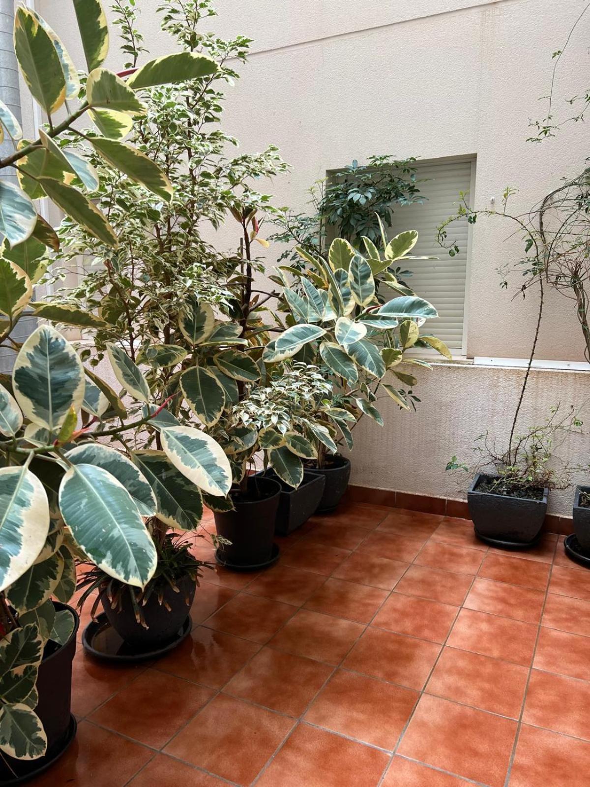 阿桂拉斯Pura Vida公寓 外观 照片